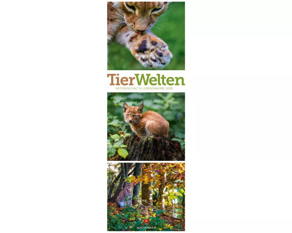 Tierwelten Triplet-Kalender 2026 | Artenvielfalt & Lebensräume