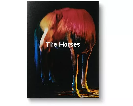 The Horses - Gareth McConnell