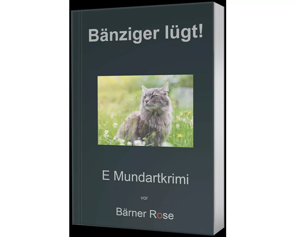 Bänziger lügt!