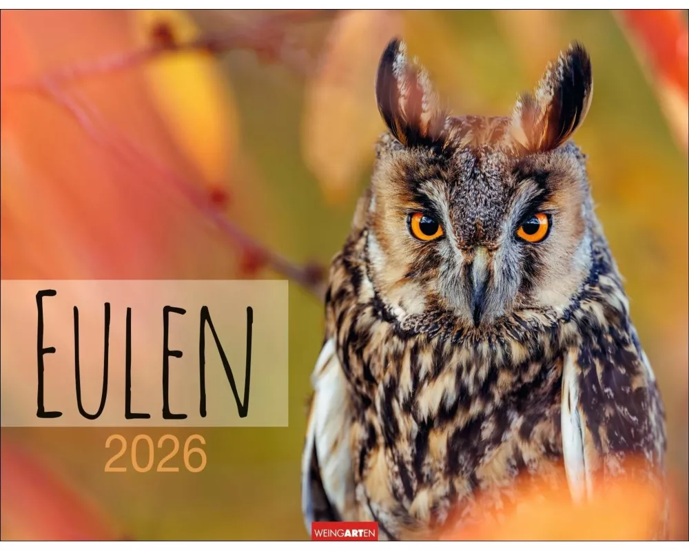 Eulen Kalender 2026