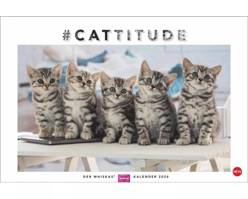 Whiskas Katzenkalender 2026