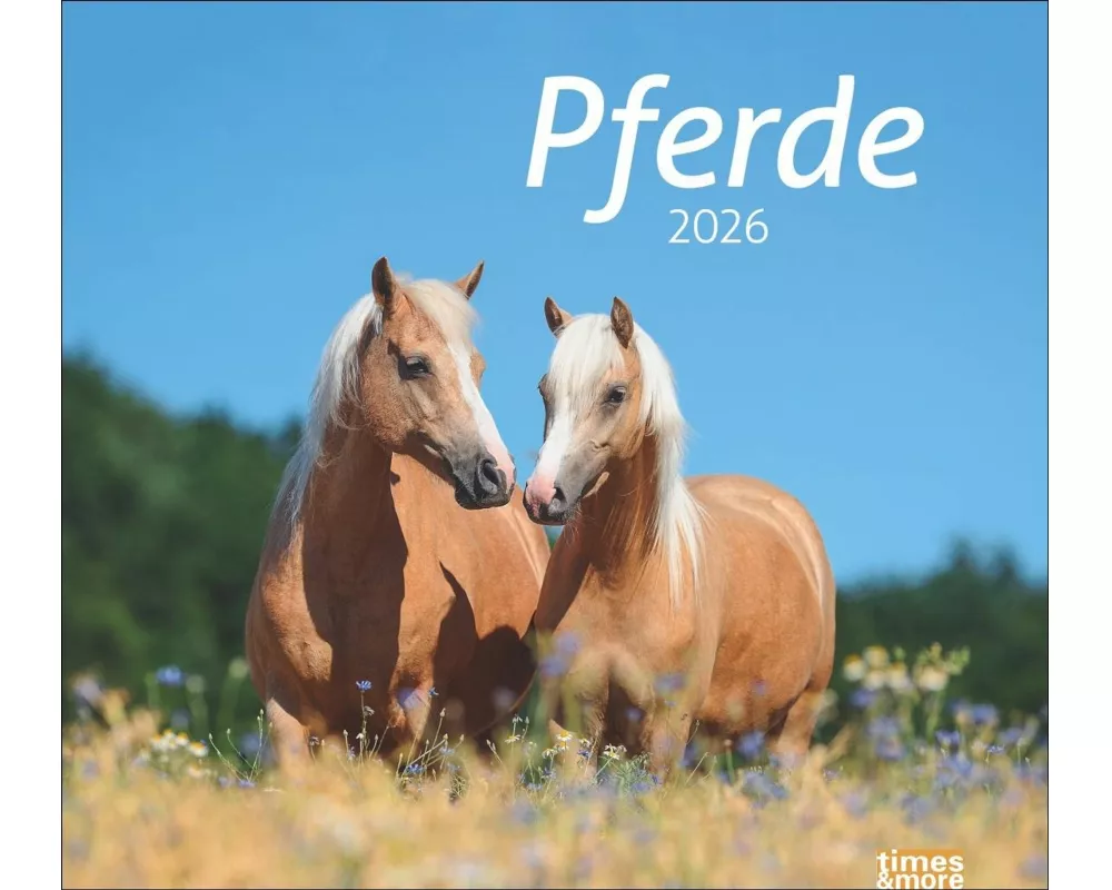 times&more Pferde Bildkalender 2026