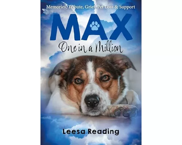 Max: One in a Million