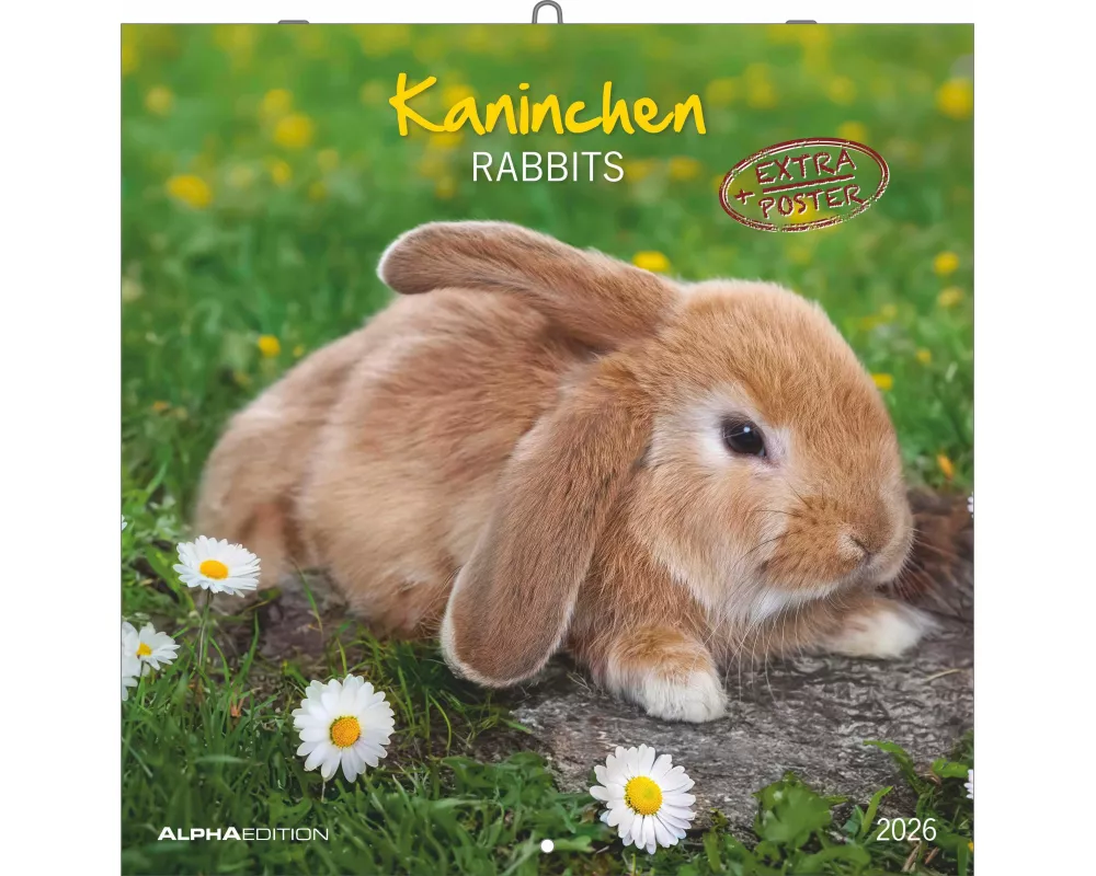 Alpha Edition - Kaninchen Kalender 2026 – 30x30 cm – Bildkalender für Tierfreunde – Niedlicher Wandkalender mit süßen Kaninchenmotiven – Platz für Not