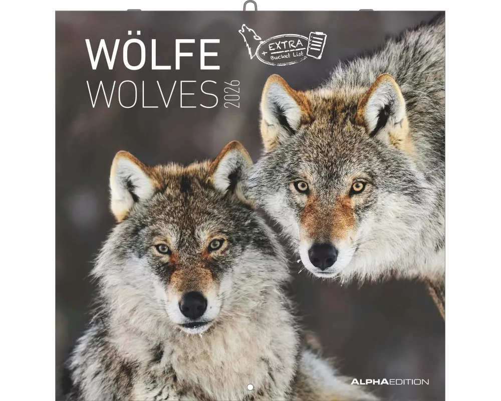Alpha Edition - Wölfe Kalender 2026 – Wandkalender & Bildkalender 30x30 cm (30x60 cm geöffnet) mit faszinierenden Wolfsfotografien, für Naturfreunde &