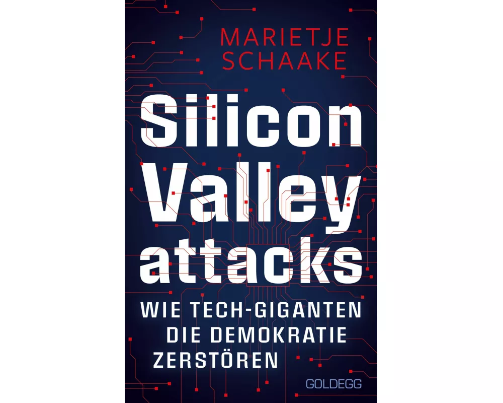 Silicon Valley attacks