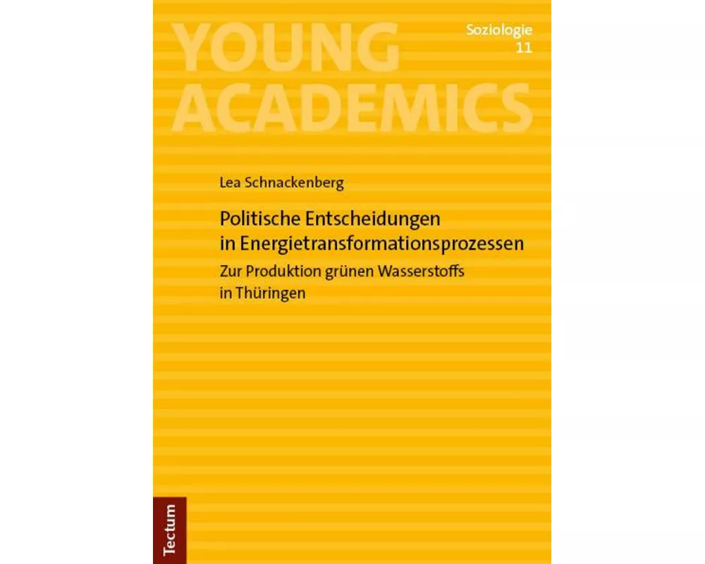 Politische Entscheidungen in Energietransformationsprozessen