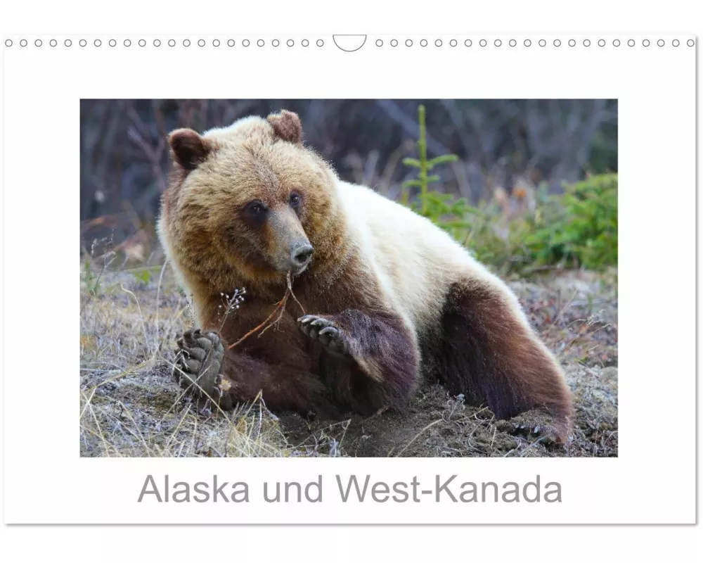 Alaska und West-Kanada (Wandkalender 2026 DIN A3 quer), CALVENDO Monatskalender