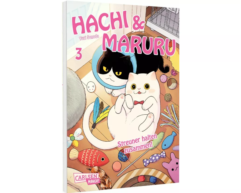 Hachi & Maruru – Streuner halten zusammen! 3