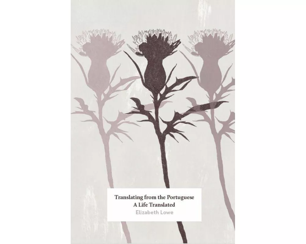 Translating from the Portuguese