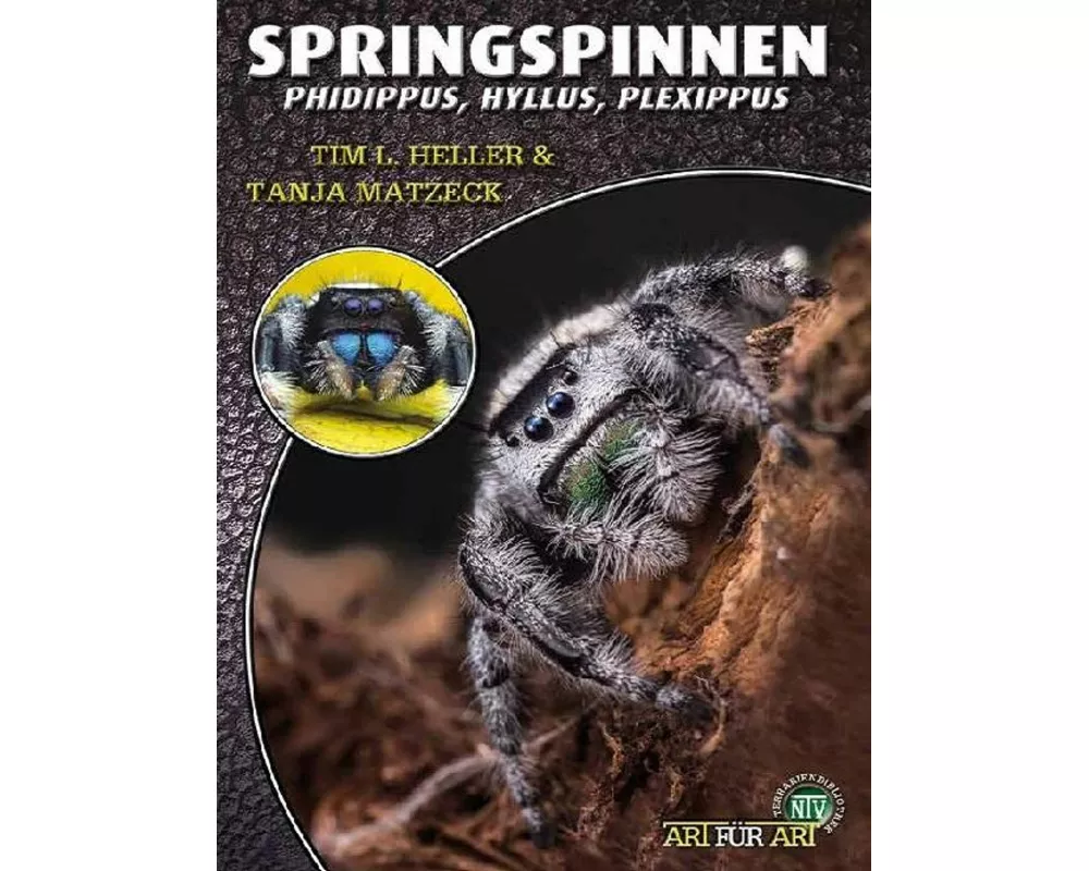 Springspinnen