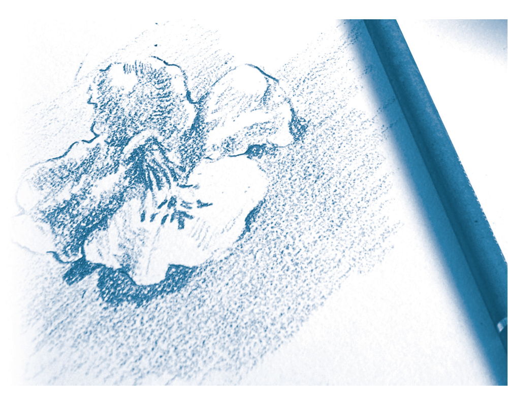 CLAIREFONTAINE Zeichenblock A4 96624C Weiß 30 Blatt