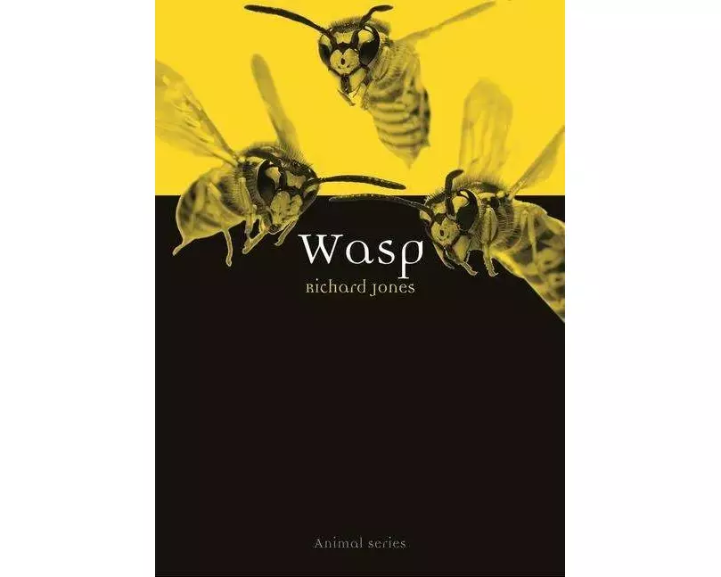 Wasp