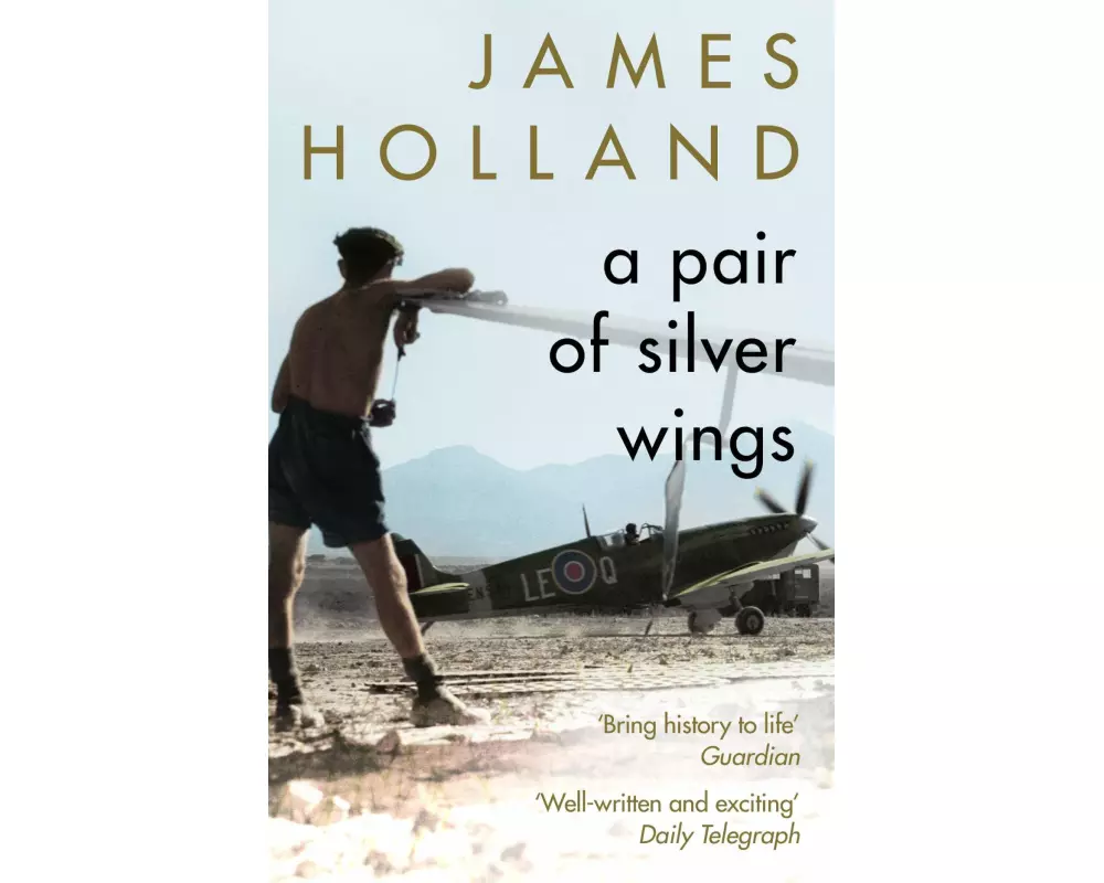 A Pair of Silver Wings