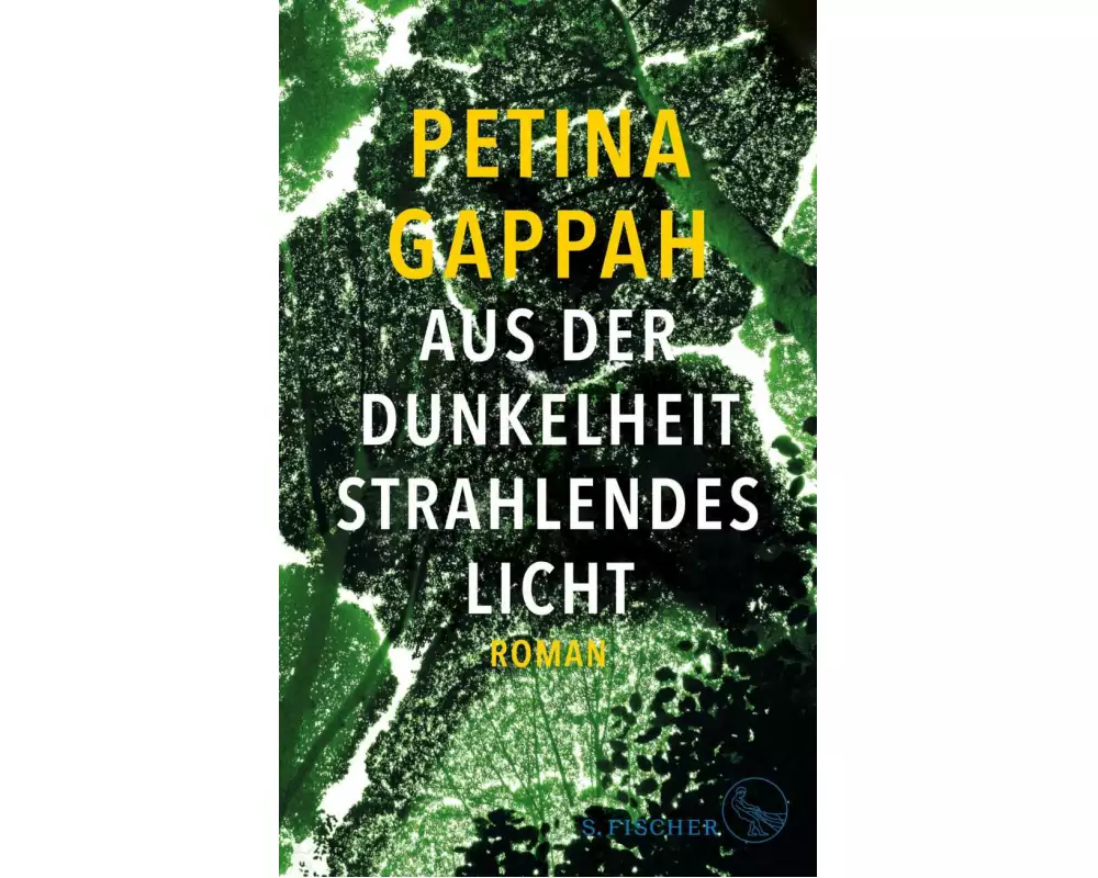 Aus der Dunkelheit strahlendes Licht