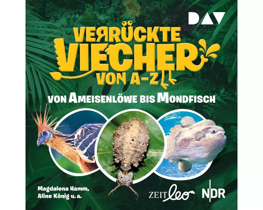 Verrückte Viecher von A bis Z – Teil 1: Von Ameisenlöwe bis Mondfisch