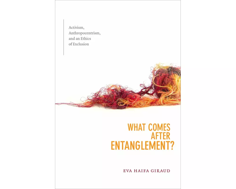 What Comes after Entanglement?