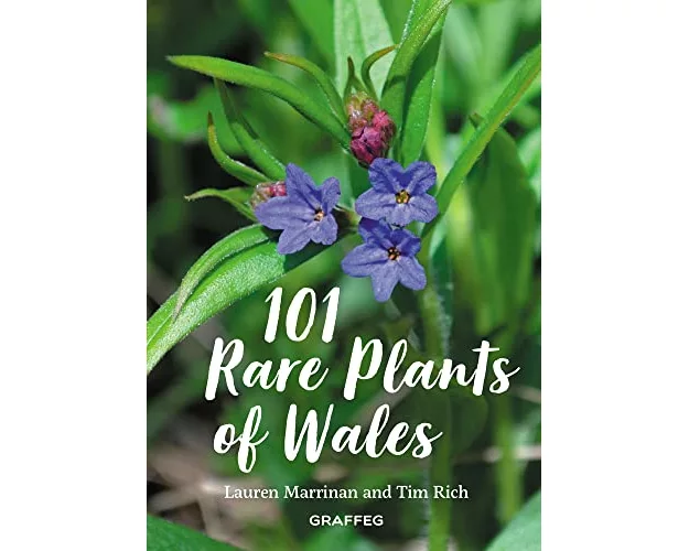 101 Rare Plants of Wales