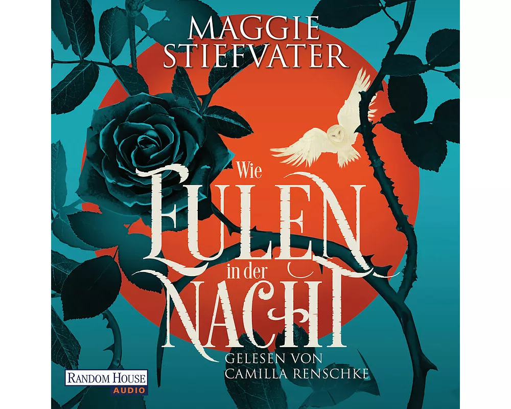 Wie Eulen in der Nacht