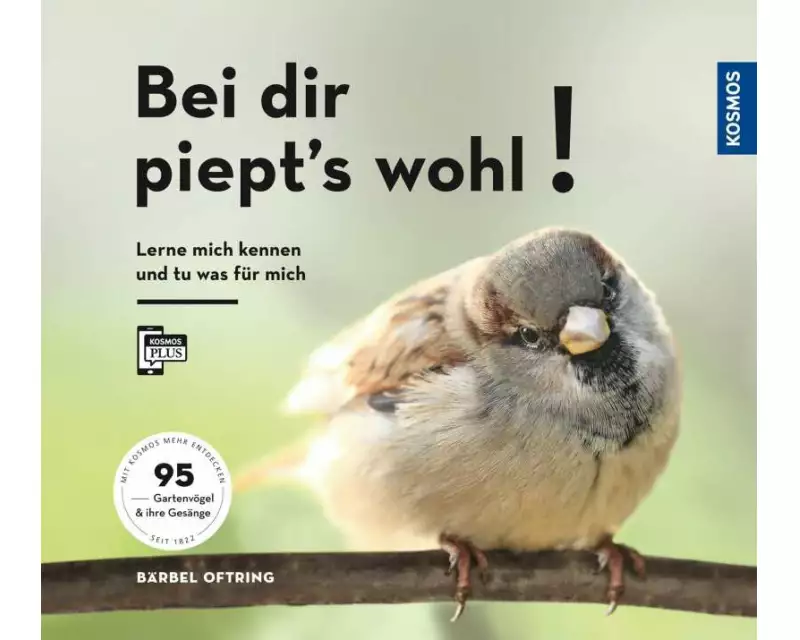 Bei dir piept´s wohl!