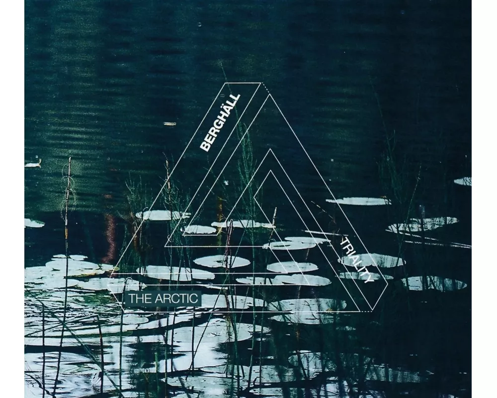 The Arctic