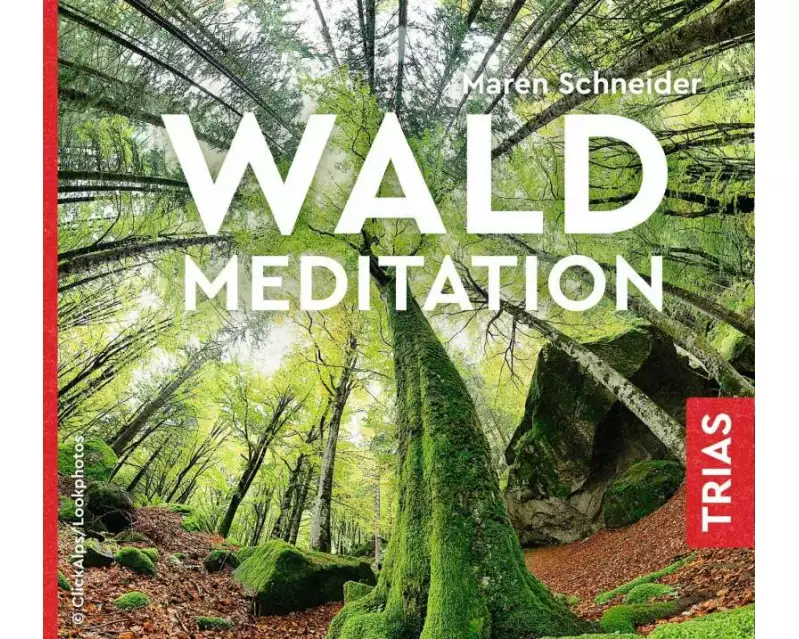 Waldmeditation