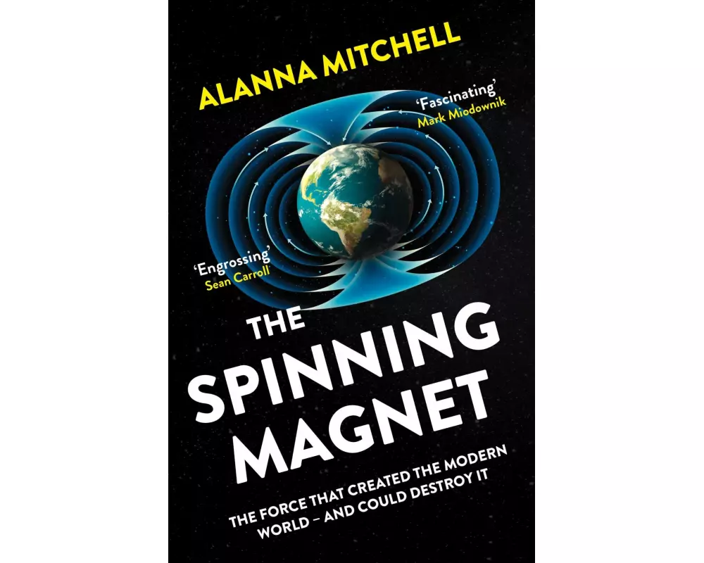 The Spinning Magnet