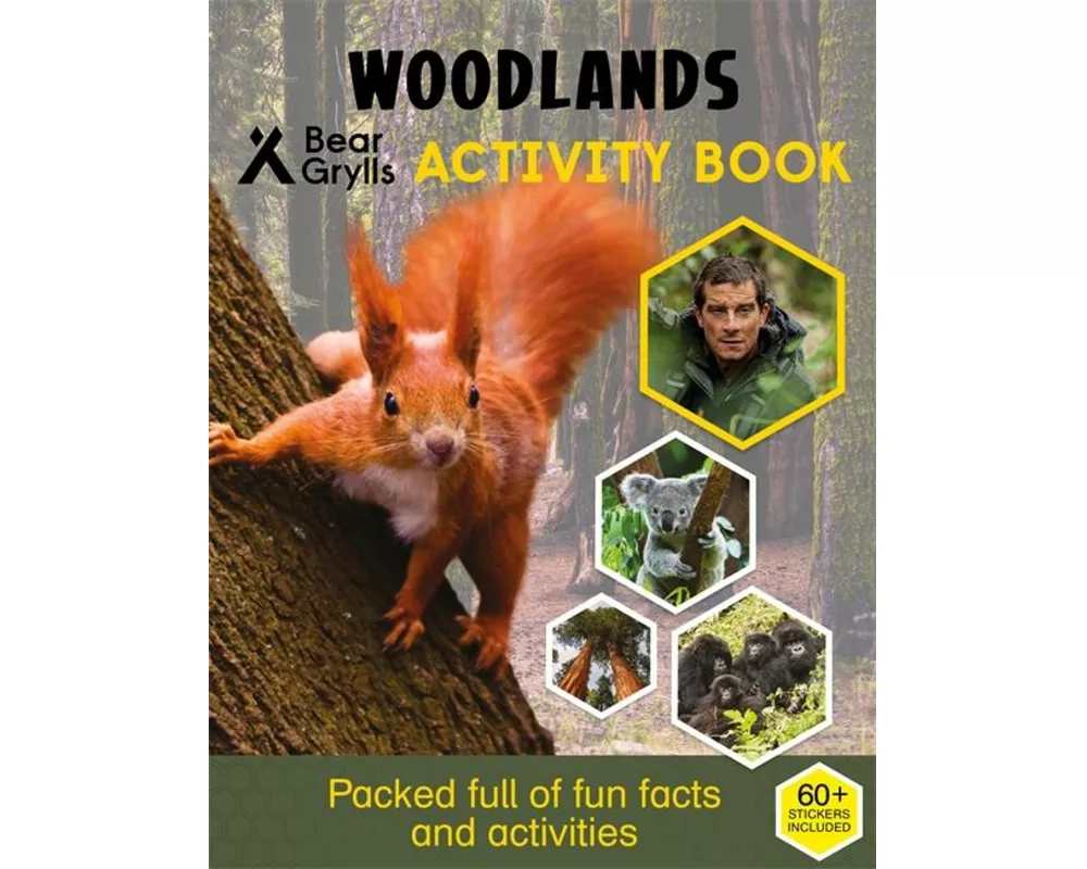 Bear Grylls Sticker Activity: Woodlands
