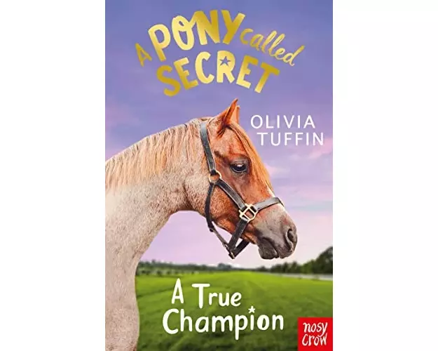 A Pony Called Secret: A True Champion