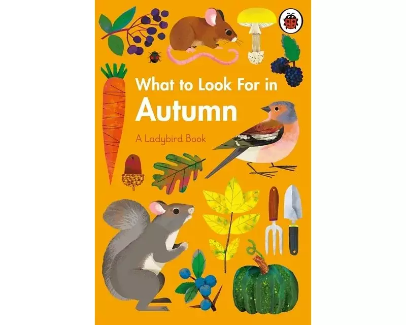 What To Look For In Autumn