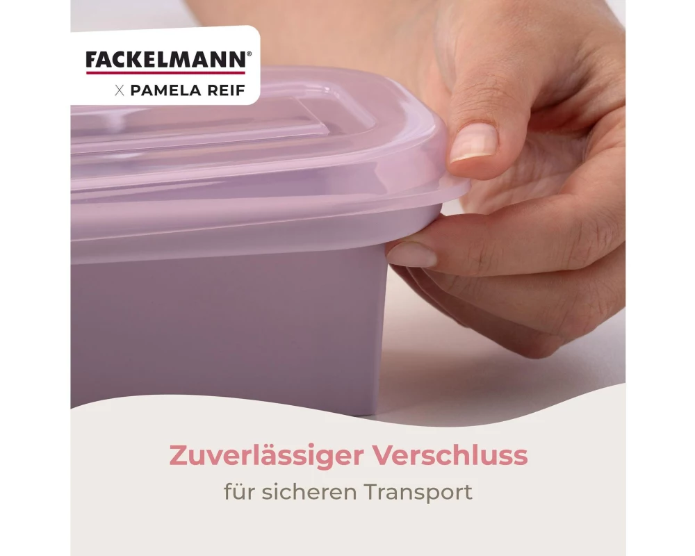 Fackelmann Gefrierbehälter 500 ml, 2-teilig, Lavendel