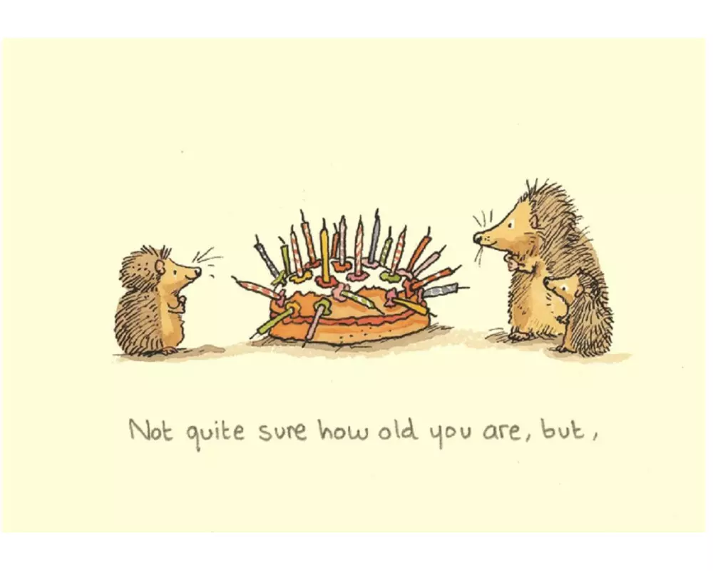 Cart Glückwunschkarte Igel 10.5 x 14.5 cm