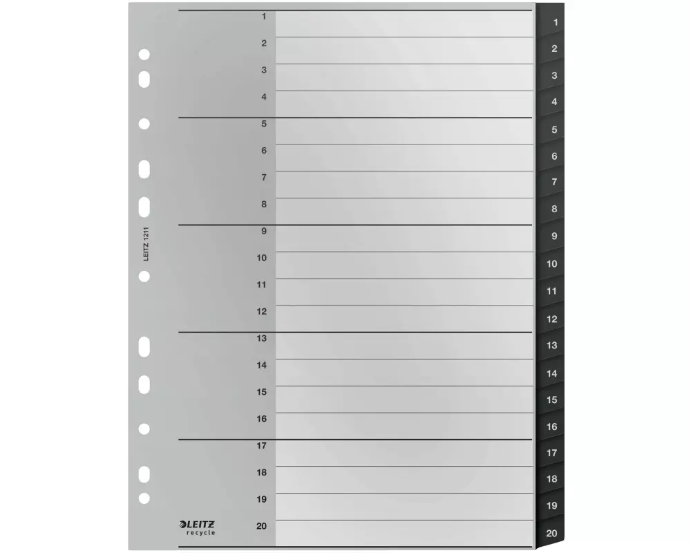 Leitz Register Recycle PC-beschriftbares Register 1-20, A4