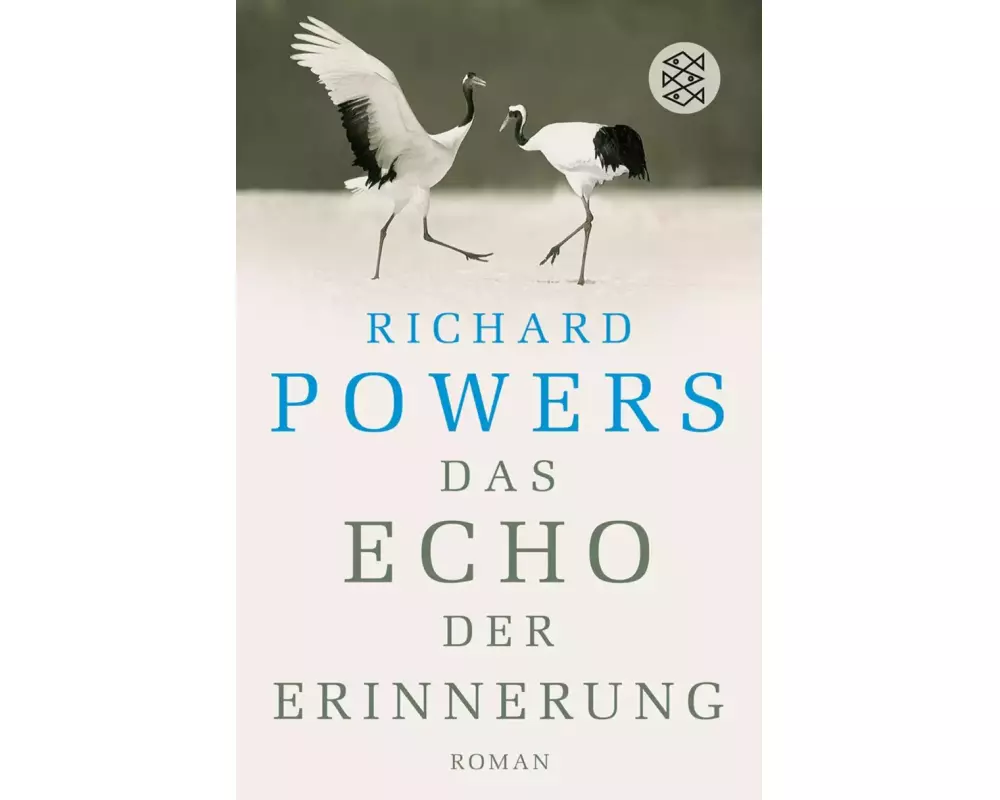 Das Echo der Erinnerung