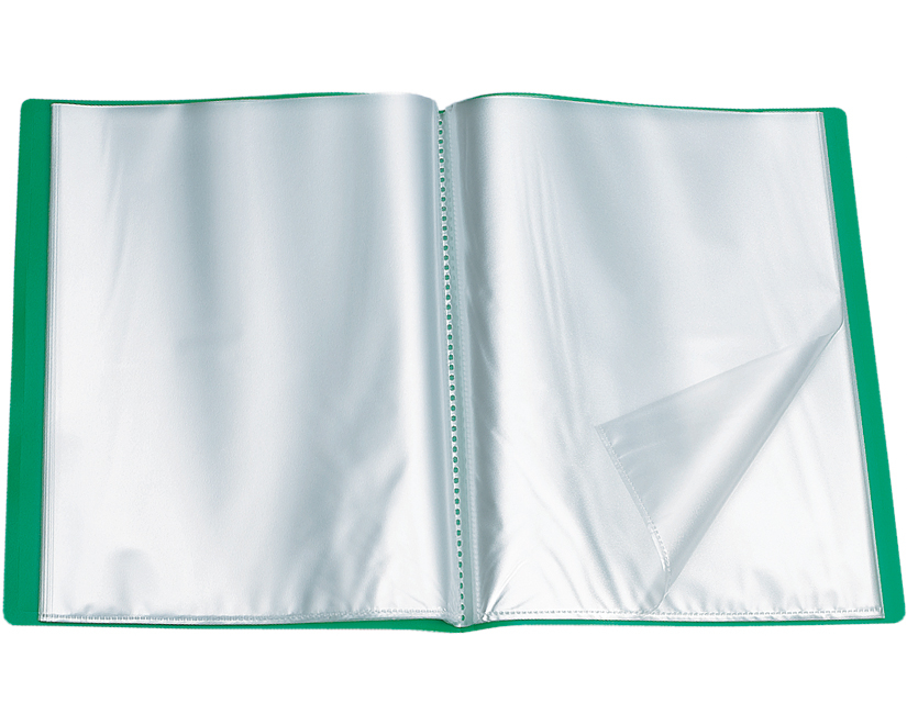 VIQUEL Sichtbuch A4 506003-04 grün 30 Taschen