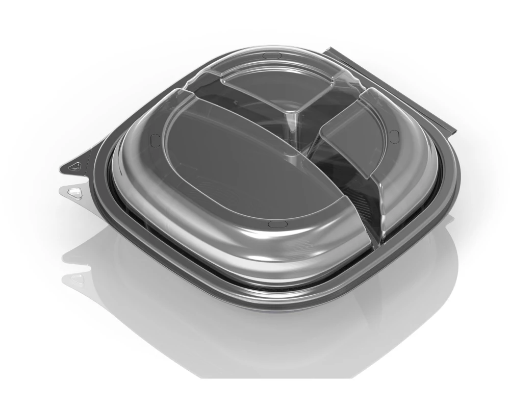 Duni Einweg-Schale Vista 25 Stück, 3-teilung, 650/216/216 ml