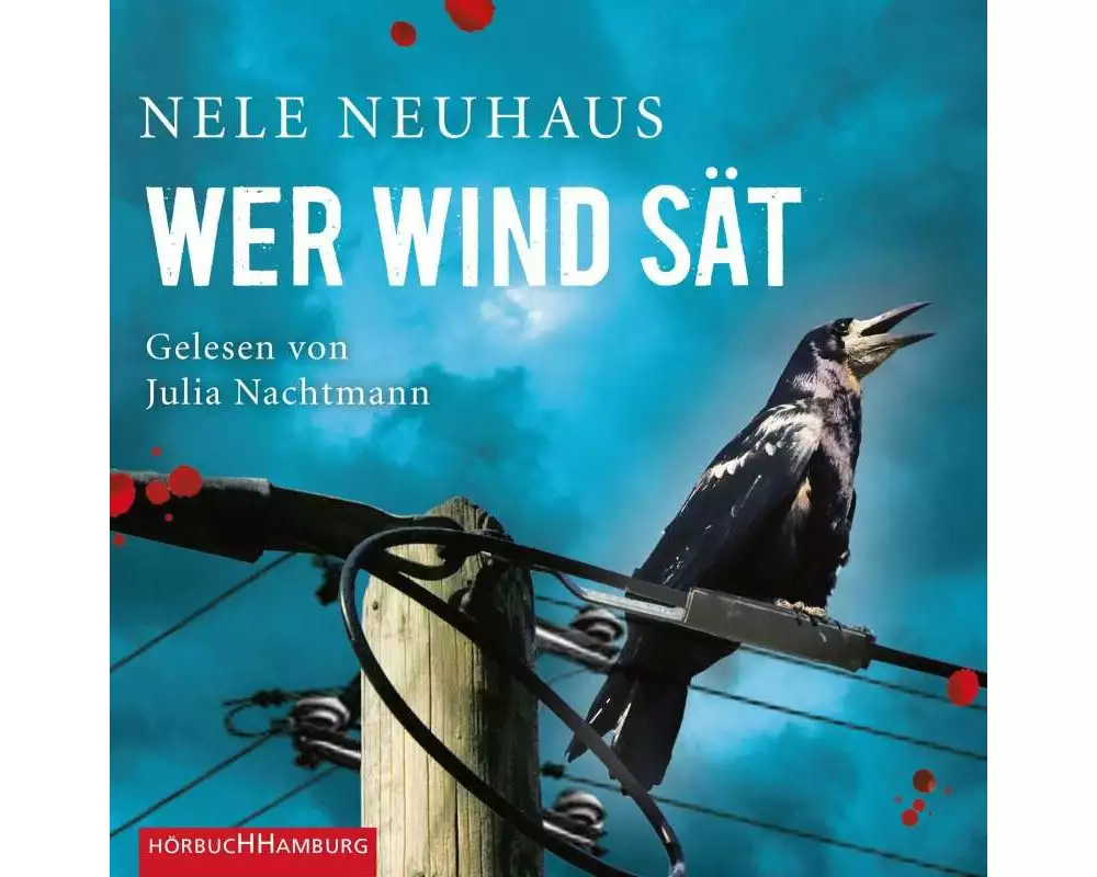 Wer Wind sät (Ein Bodenstein-Kirchhoff-Krimi 5)