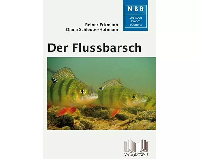 Der Flussbarsch - Perca fluviatilis