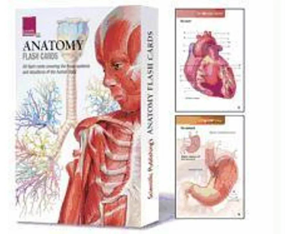 Anatomy Flash Cards
