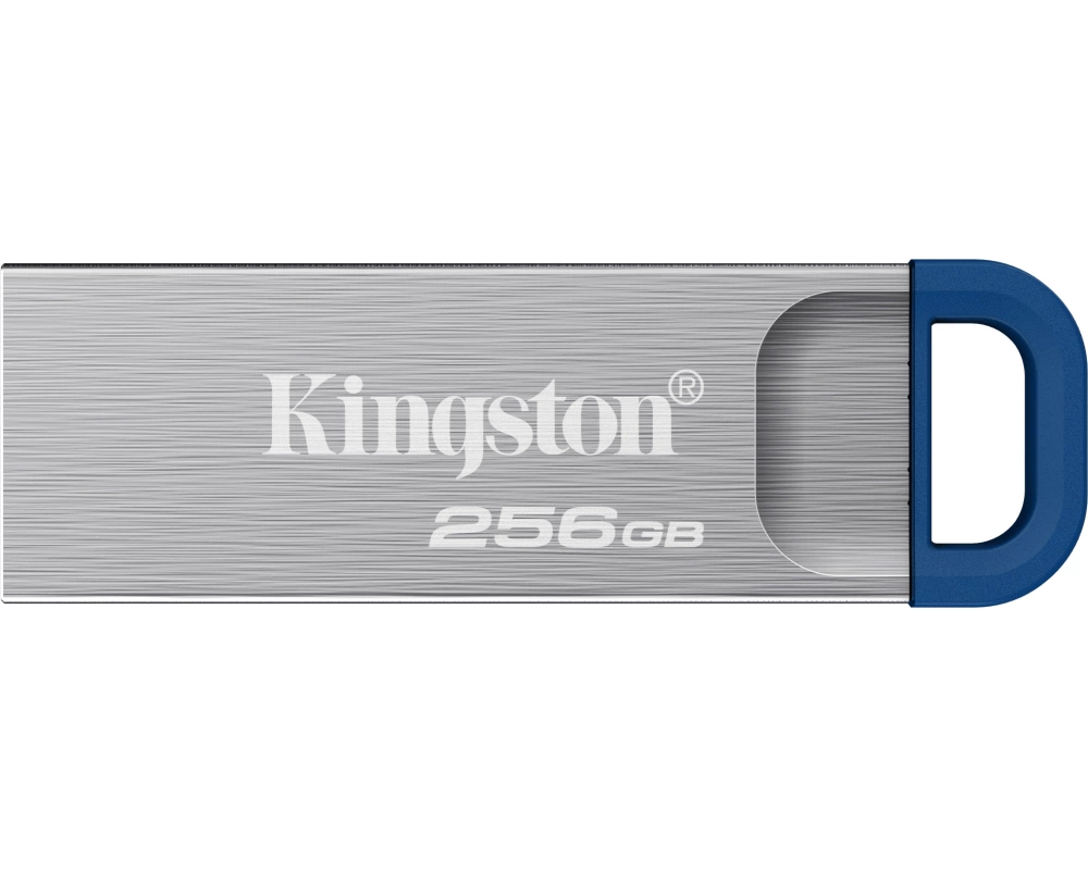 Kingston Technology DataTraveler Kyson USB-Stick 256 GB USB Typ-A 3.2 Gen 1 (3.1 Gen 1) Edelstahl