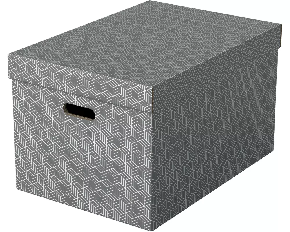 Leitz Aufbewahrungsbox Esselte Home L Gross, 3 Stück, Grau