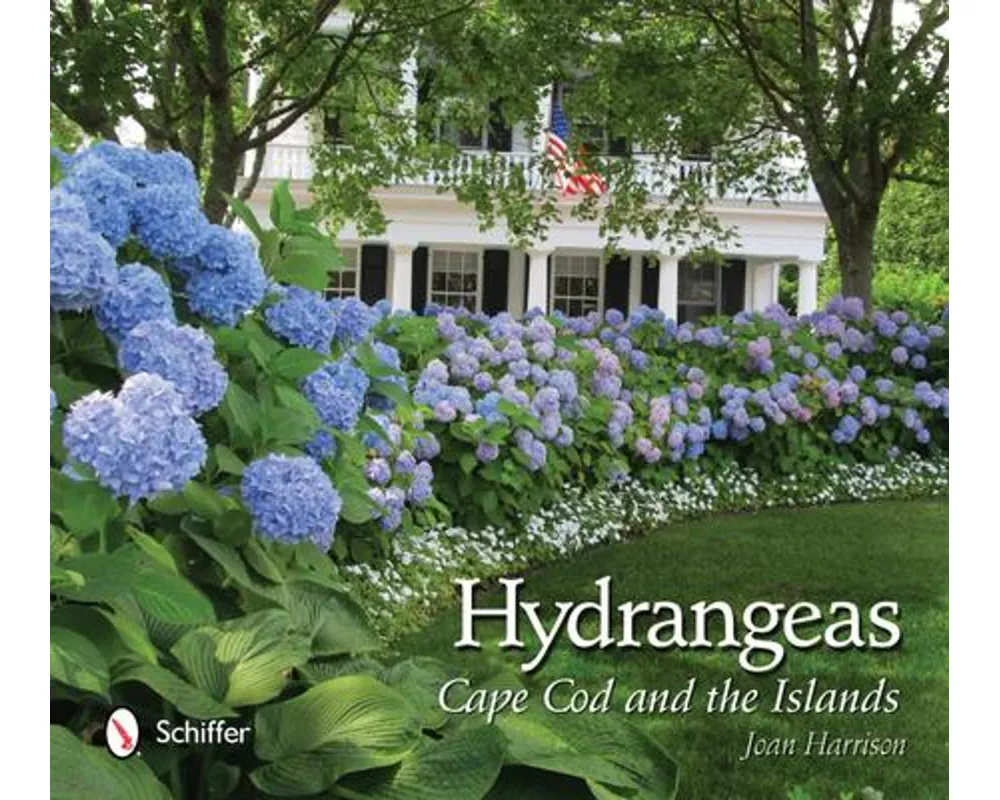 Hydrangeas