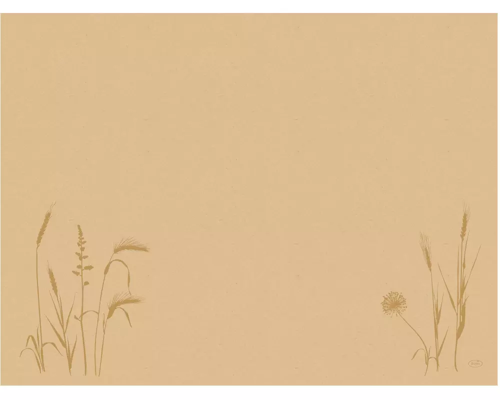 Duni Tischset Bio DC Meadow 100 Stück, 30 cm x 40 cm, Nature