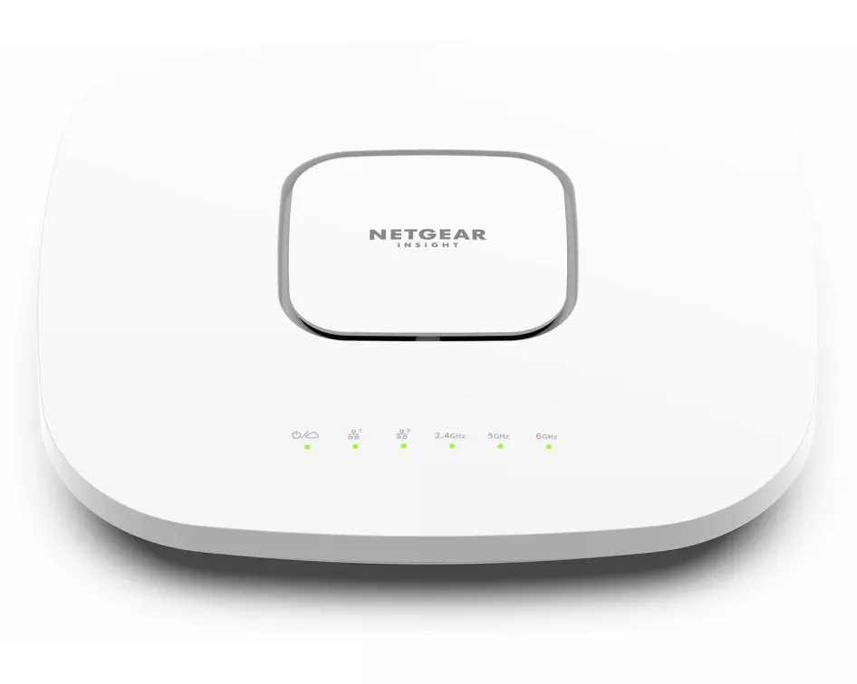 Netgear Mesh Access Point WAX630E
