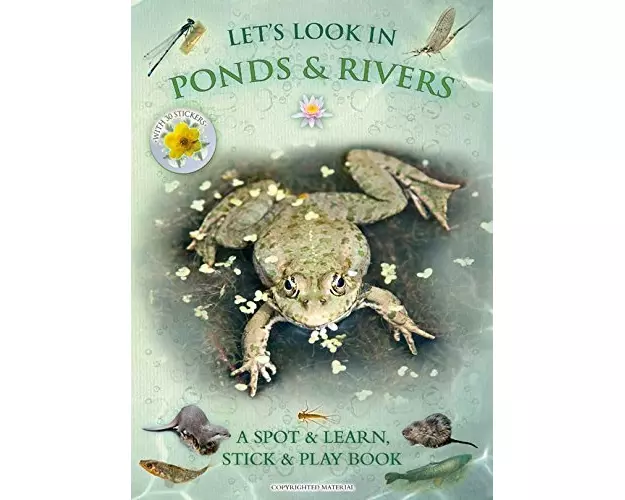 Let's Look in Ponds & Rivers