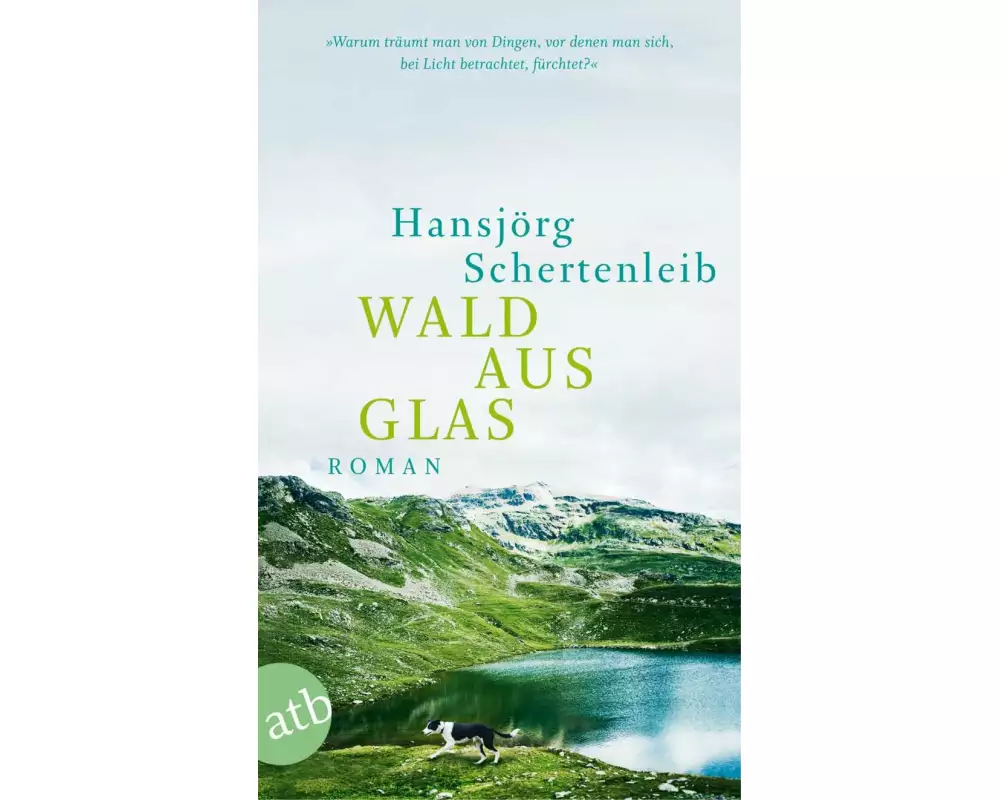 Wald aus Glas