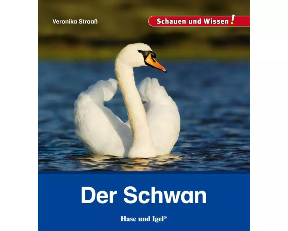Der Schwan