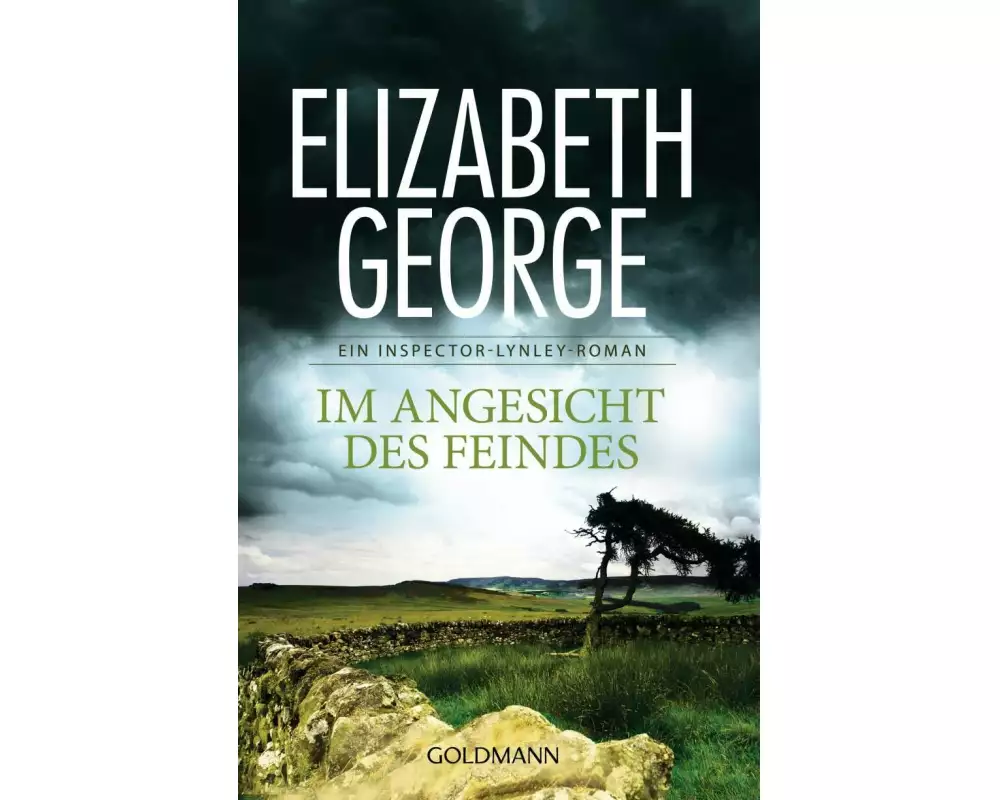 Im Angesicht des Feindes