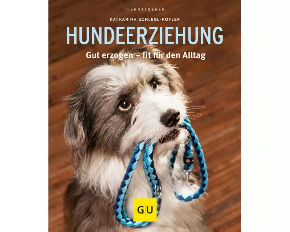 Hundeerziehung