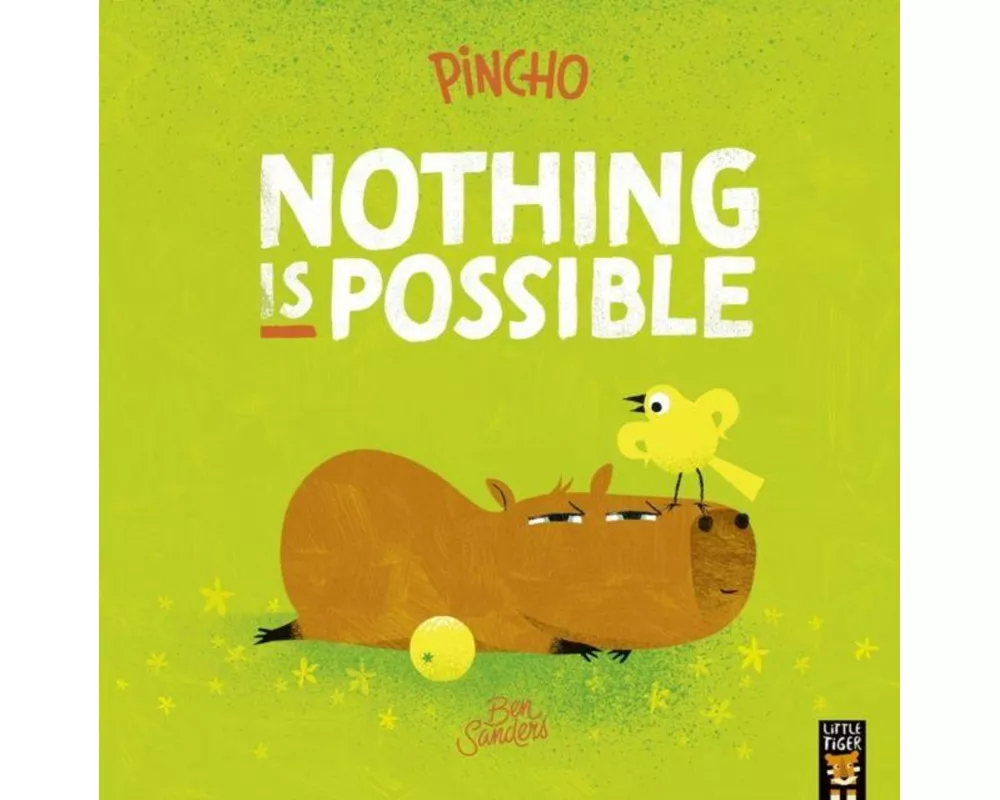 Pincho: Nothing IS Possible